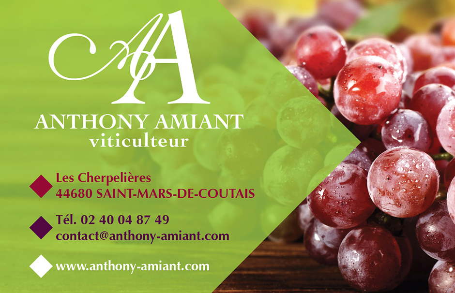 Anthony AMIANT