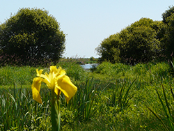 Campagne Nantes Sud Loire St Mars de Coutais