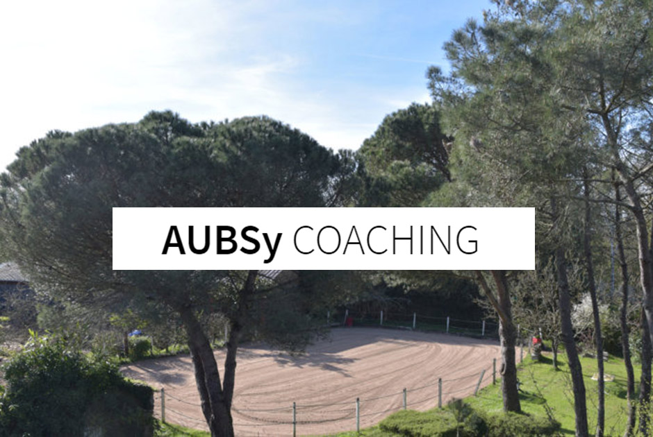 AUBSy Coaching