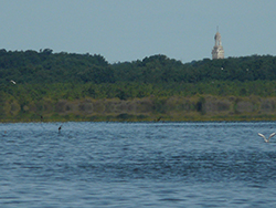 Lac de Grand Lieu Saint Mars de Coutais