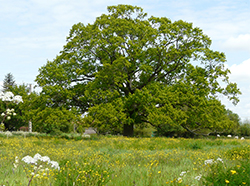 Nantes Sud Loire campagne calme 44680