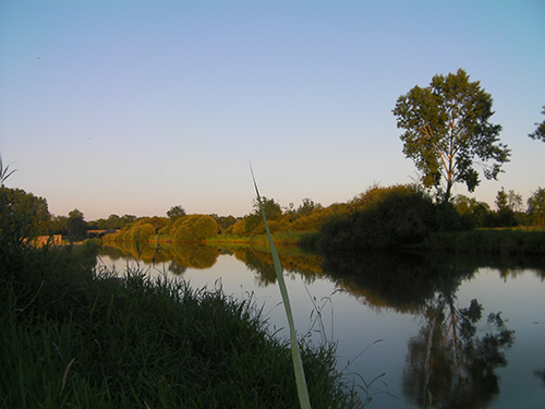 Randonnée Marais Nantes Sud Loire St Mars de Coutais